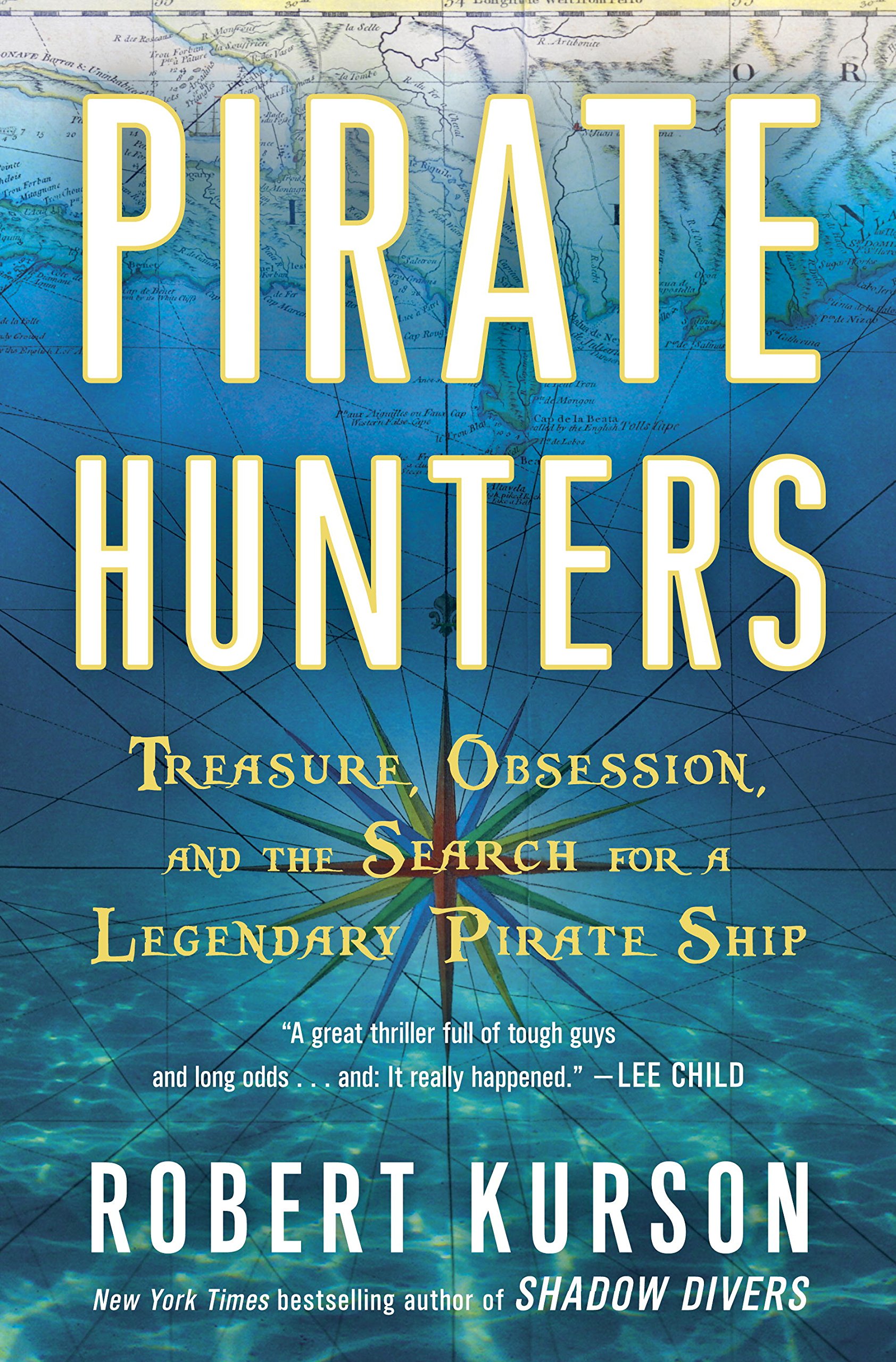 Pirate Hunters Book Cover